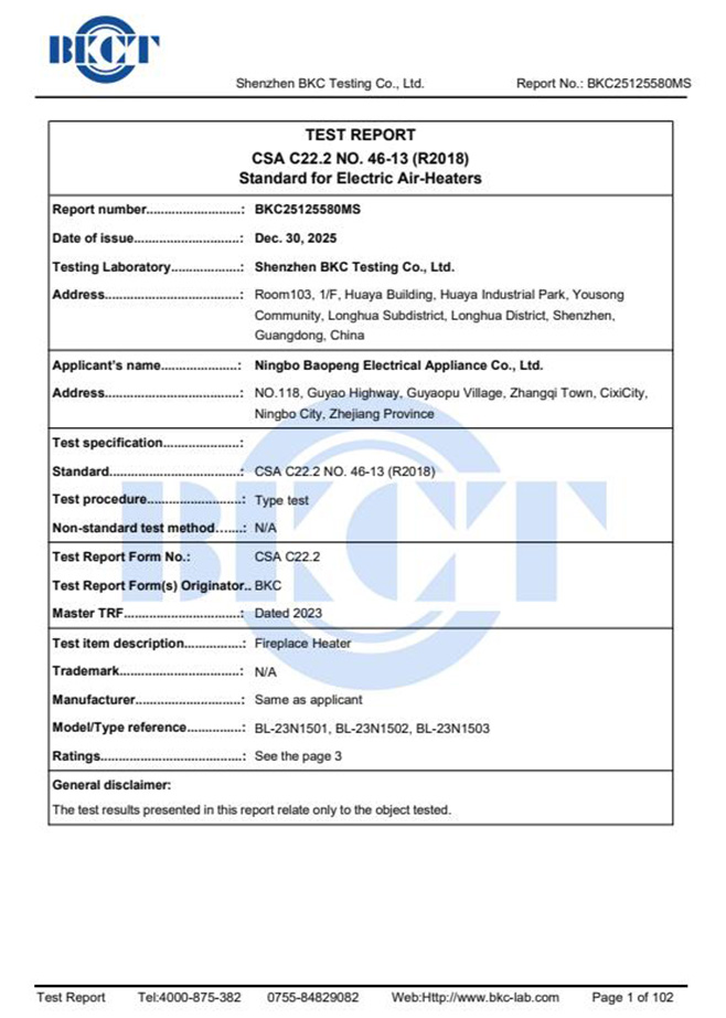 Test Report